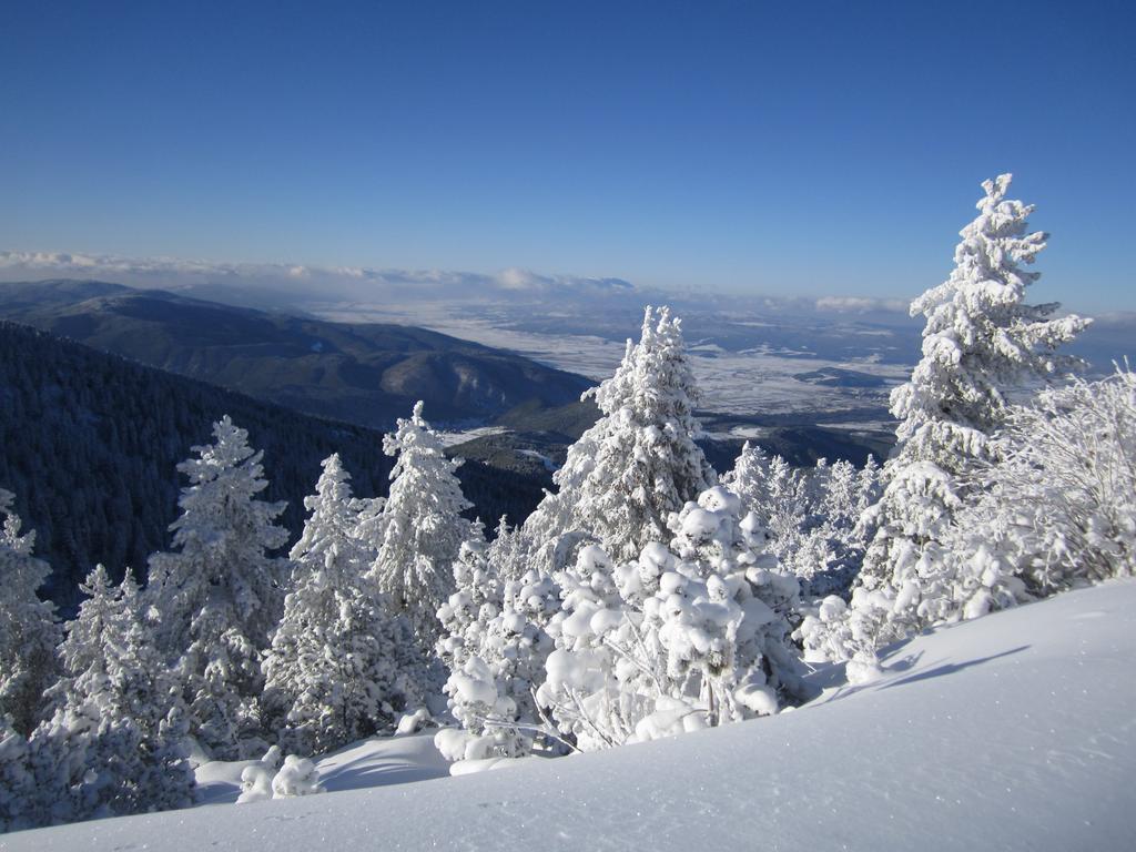 Tes Royal Plaza Apartments Borovets Eksteriør bilde